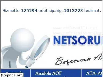 netsorular.com