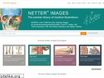 netterimages.com