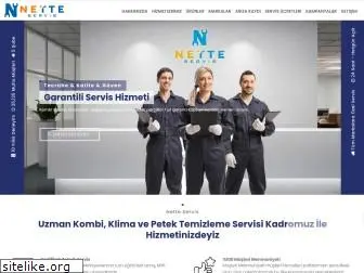 netteservis.com.tr