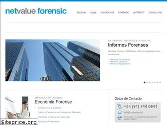 netvalueforensic.com