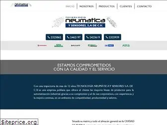 neumatik.com.mx