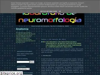 neuromorfologia.blogspot.com