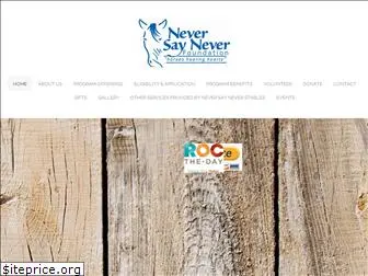 neversaynever.foundation