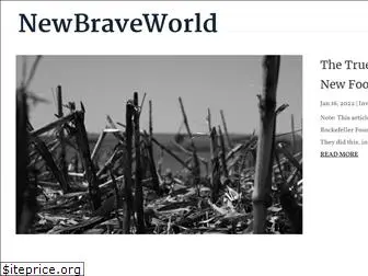 newbraveworld.org