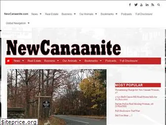 newcanaanite.com