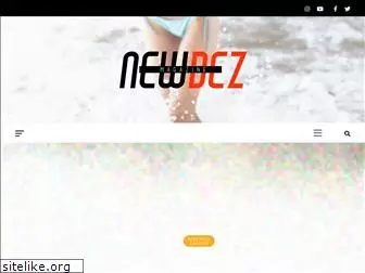 newdez.com