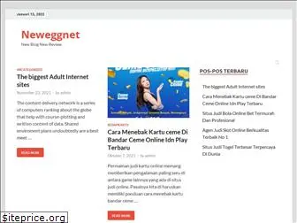 neweggnet.biz