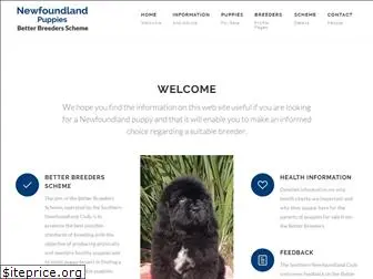 newfoundlandpuppies.co.uk