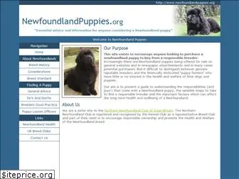 newfoundlandpuppies.org