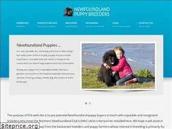 newfoundlandpuppybreeders.uk