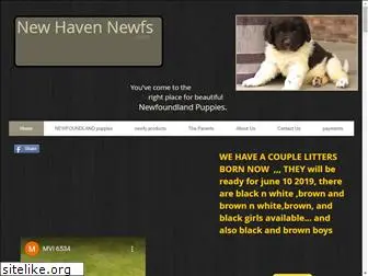 newhavennewfs.com