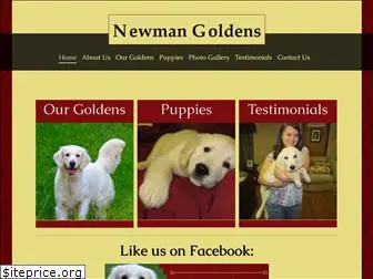 newmangoldens.com