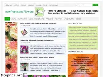 newplantsandflowers.com