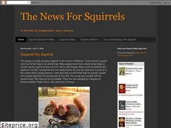 newsforsquirrels.blogspot.com