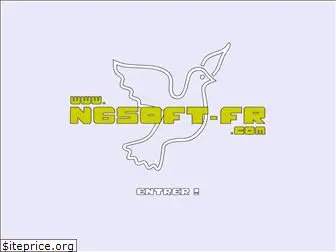 ngsoft-fr.com