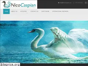 nicocaspian.com