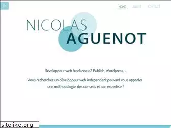nicolasaguenot.com