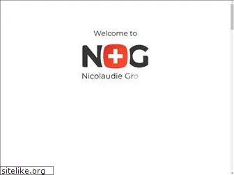 nicolaudiegroup.com