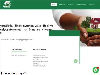 nictanzania.co.tz