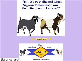 nigoragoats-angba.com