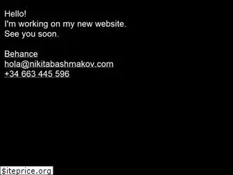 nikitabashmakov.com