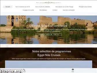 nile-aviation.fr