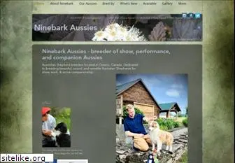 ninebarkaussies.com