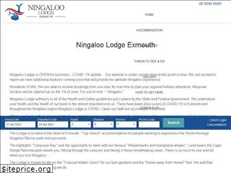 ningaloolodge.com.au