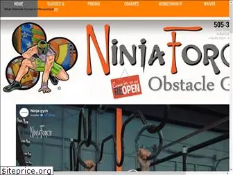 ninjaforcegym.com