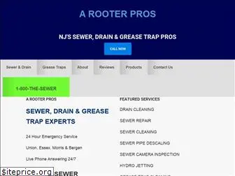 njsewerdrain.com