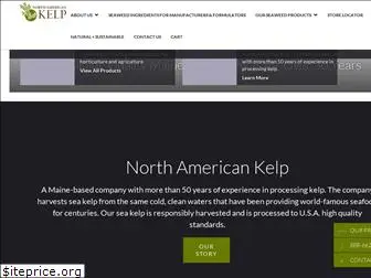 noamkelp.com