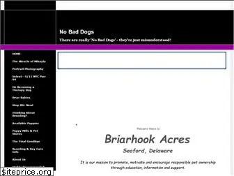 nobaddogs.com