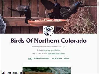 nocobirds.com