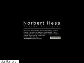 norberthess.com