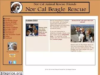 norcalbeagles.com