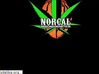 norcalseedsandgenetics.com