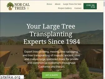 norcaltrees.com
