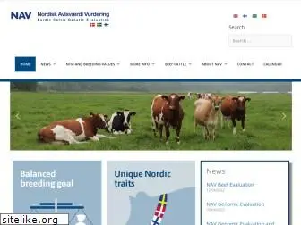 nordicebv.info