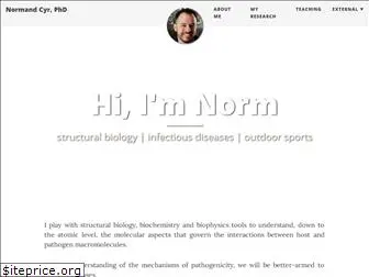 normandcyr.com