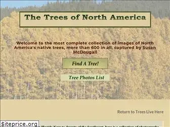 northamericantrees.com