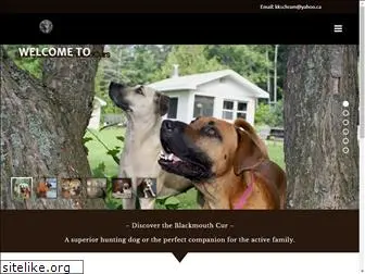 northernblackmouthcur.ca