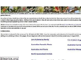 northqueenslandplants.com