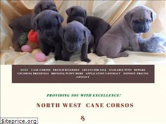 northwestcanecorsos.com