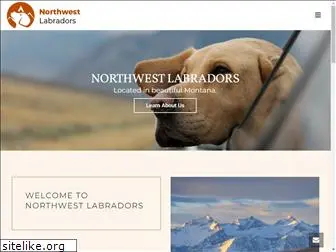 northwestlabbreeders.com