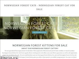 norwegianforestcatt.company.com