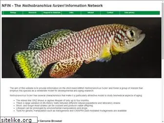 nothobranchius.info