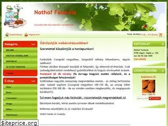 nothoffaiskola.hu