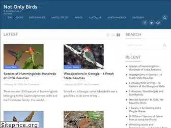 notonlybirds.com