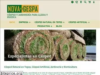 novagespa.com