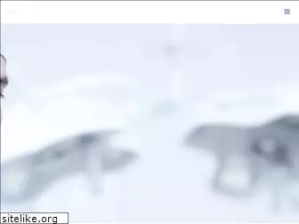 novosource.com